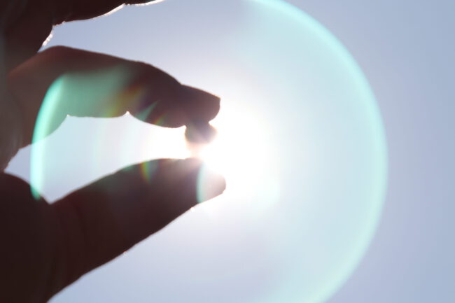 Alpaka-Power für den Garten